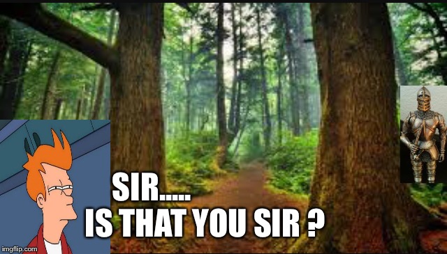 SIR..... IS THAT YOU SIR ? | made w/ Imgflip meme maker