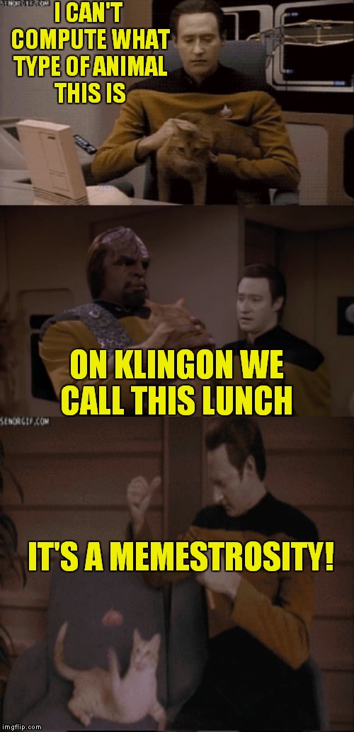 Cat's in spaaaace! | I CAN'T COMPUTE WHAT TYPE OF ANIMAL THIS IS; ON KLINGON WE CALL THIS LUNCH; IT'S A MEMESTROSITY! | image tagged in datass,kitty | made w/ Imgflip meme maker
