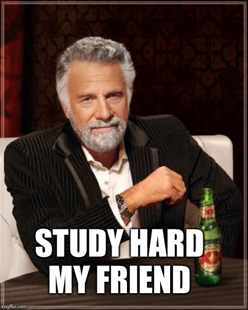 The Most Interesting Man In The World Meme | MY FRIEND STUDY HARD | image tagged in memes,the most interesting man in the world | made w/ Imgflip meme maker