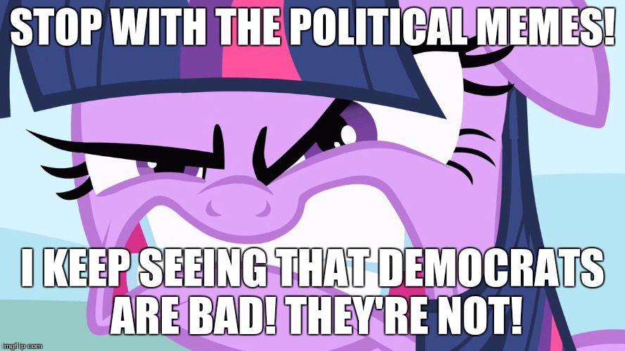 ANGRY Twilight | STOP WITH THE POLITICAL MEMES! I KEEP SEEING THAT DEMOCRATS ARE BAD! THEY'RE NOT! | image tagged in angry twilight | made w/ Imgflip meme maker