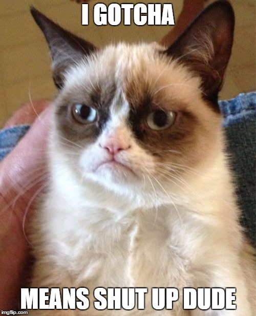 Grumpy Cat | I GOTCHA; MEANS SHUT UP DUDE | image tagged in memes,grumpy cat | made w/ Imgflip meme maker