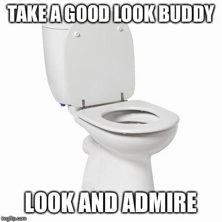 Toilet | TAKE A GOOD LOOK BUDDY; LOOK AND ADMIRE | image tagged in funny,memes,toilet | made w/ Imgflip meme maker