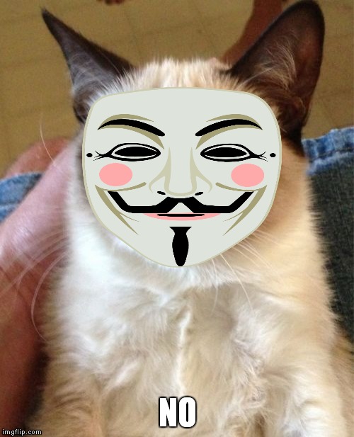 Grumpy Cat Meme | NO | image tagged in memes,grumpy cat | made w/ Imgflip meme maker