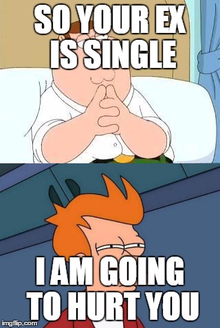 SO YOUR EX IS SINGLE; I AM GOING TO HURT YOU | image tagged in futurama fry | made w/ Imgflip meme maker