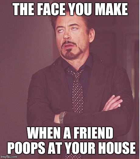 Face You Make Robert Downey Jr | THE FACE YOU MAKE; WHEN A FRIEND POOPS AT YOUR HOUSE | image tagged in memes,face you make robert downey jr | made w/ Imgflip meme maker