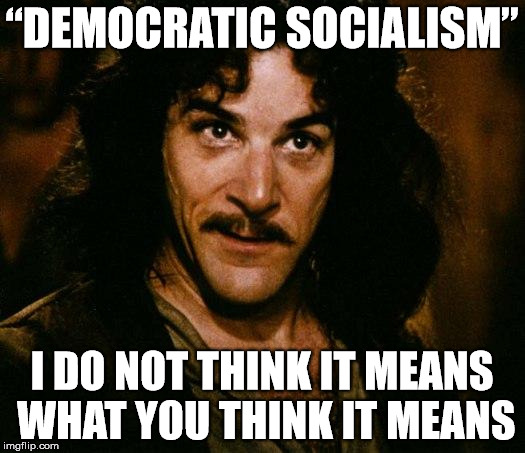 Inigo Montoya Meme | “DEMOCRATIC SOCIALISM”; I DO NOT THINK IT MEANS WHAT YOU THINK IT MEANS | image tagged in memes,inigo montoya | made w/ Imgflip meme maker