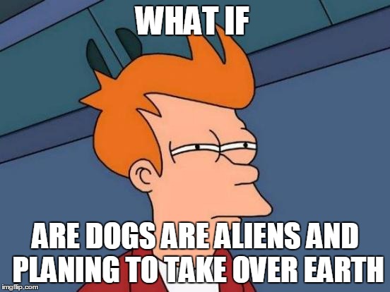 Futurama Fry | WHAT IF; ARE DOGS ARE ALIENS AND PLANING TO TAKE OVER EARTH | image tagged in memes,futurama fry | made w/ Imgflip meme maker