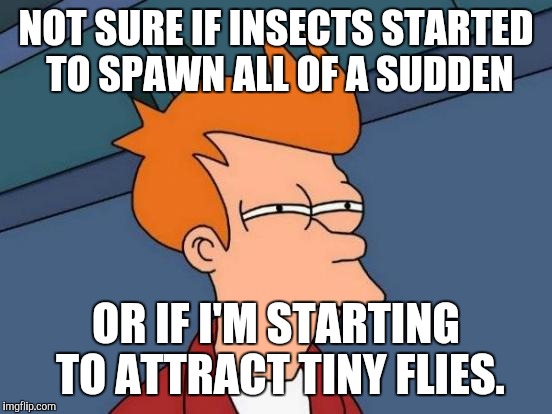 Futurama Fry | NOT SURE IF INSECTS STARTED TO SPAWN ALL OF A SUDDEN; OR IF I'M STARTING TO ATTRACT TINY FLIES. | image tagged in memes,futurama fry | made w/ Imgflip meme maker