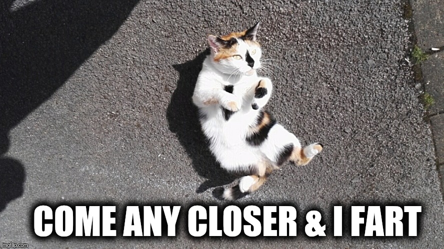 COME ANY CLOSER & I FART | image tagged in fart | made w/ Imgflip meme maker