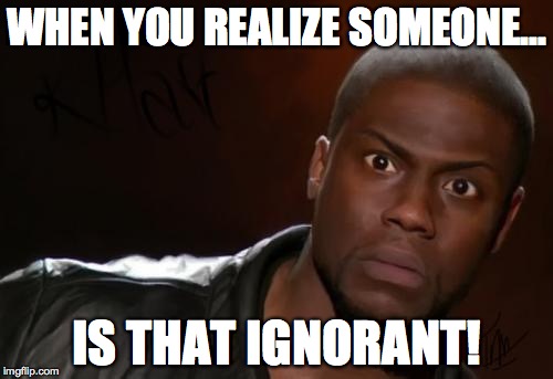 kevin hart | WHEN YOU REALIZE SOMEONE... IS THAT IGNORANT! | image tagged in kevin hart | made w/ Imgflip meme maker