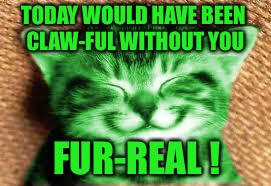 Bad Pun Ray | TODAY WOULD HAVE BEEN CLAW-FUL WITHOUT YOU; FUR-REAL ! | image tagged in happy raycat,memes | made w/ Imgflip meme maker