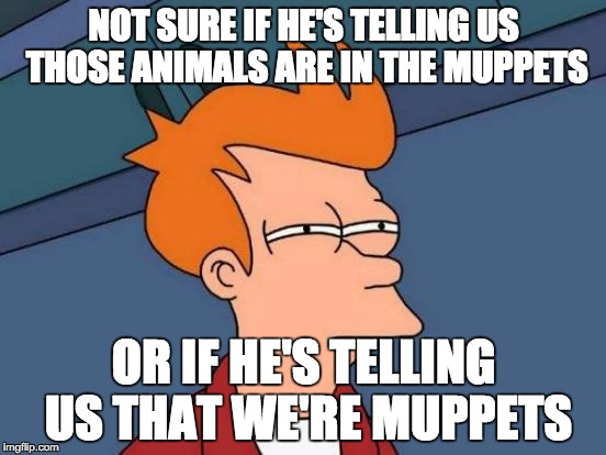 Futurama Fry | NOT SURE IF HE'S TELLING US THOSE ANIMALS ARE IN THE MUPPETS; OR IF HE'S TELLING US THAT WE'RE MUPPETS | image tagged in memes,futurama fry | made w/ Imgflip meme maker