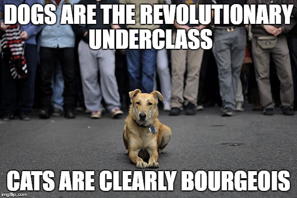 DOGS ARE THE REVOLUTIONARY UNDERCLASS; CATS ARE CLEARLY BOURGEOIS | image tagged in COMPLETEANARCHY | made w/ Imgflip meme maker