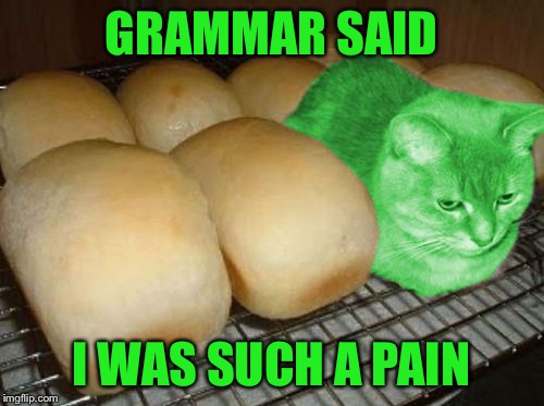 Loaf RayCat | GRAMMAR SAID I WAS SUCH A PAIN | image tagged in loaf raycat | made w/ Imgflip meme maker