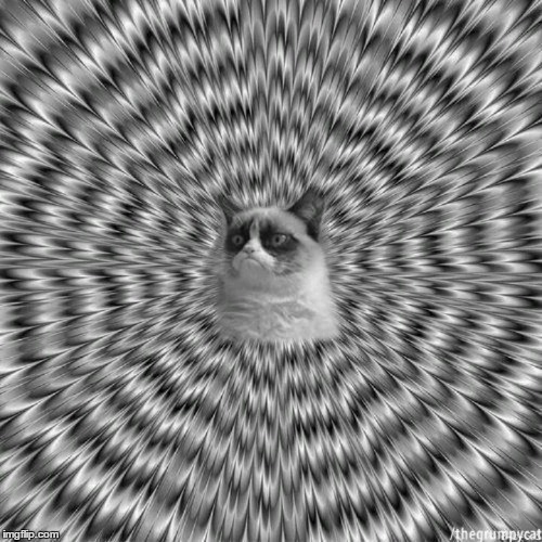 _ | made w/ Imgflip meme maker