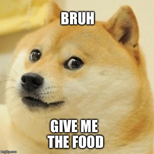 Doge Meme | BRUH; GIVE ME THE FOOD | image tagged in memes,doge | made w/ Imgflip meme maker