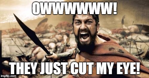 Sparta Leonidas | OWWWWWW! THEY JUST CUT MY EYE! | image tagged in memes,sparta leonidas | made w/ Imgflip meme maker