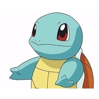 High Quality squirtle Blank Meme Template