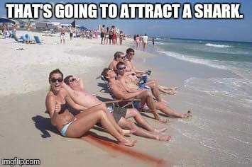 THAT'S GOING TO ATTRACT A SHARK. | image tagged in shark,beach,summer,period,blood,tampon | made w/ Imgflip meme maker