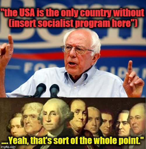 "the USA is the only country without (insert socialist program here"); ....Yeah, that's sort of the whole point." | image tagged in funny memes | made w/ Imgflip meme maker