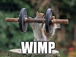 WIMP | made w/ Imgflip meme maker