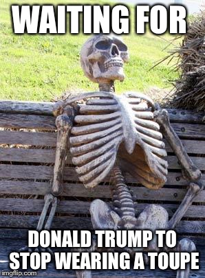 Waiting Skeleton | WAITING FOR; DONALD TRUMP TO STOP WEARING A TOUPE | image tagged in memes,waiting skeleton | made w/ Imgflip meme maker