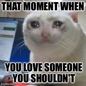 Crying cat | THAT MOMENT WHEN; YOU LOVE SOMEONE YOU SHOULDN'T | image tagged in crying cat | made w/ Imgflip meme maker