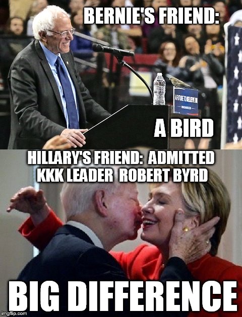 Bird vs Byrd | BERNIE'S FRIEND:; A BIRD; HILLARY'S FRIEND:  ADMITTED KKK LEADER  ROBERT BYRD; BIG DIFFERENCE | image tagged in bernie sanders,feel the bern,bernie2016,hillary clinton,birdie sanders,birdiesanders | made w/ Imgflip meme maker