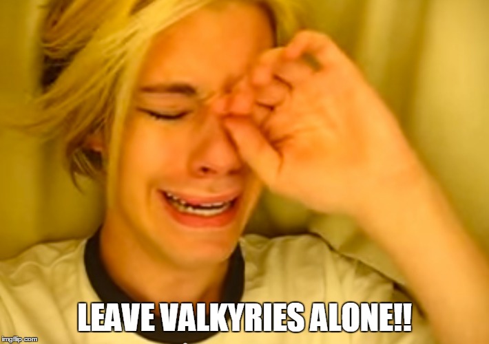 LEAVE VALKYRIES ALONE!! | made w/ Imgflip meme maker