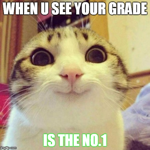 Smiling Cat | WHEN U SEE YOUR GRADE; IS THE NO.1 | image tagged in memes,smiling cat | made w/ Imgflip meme maker