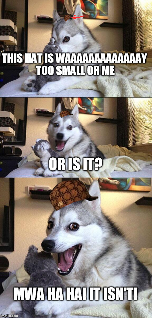 Bad Pun Dog | THIS HAT IS WAAAAAAAAAAAAAY TOO SMALL OR ME; OR IS IT? MWA HA HA! IT ISN'T! | image tagged in memes,bad pun dog,scumbag | made w/ Imgflip meme maker