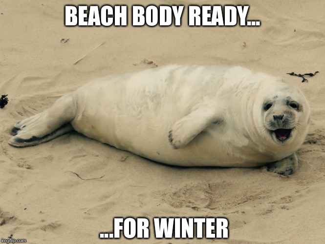 Winter beach body | BEACH BODY READY... ...FOR WINTER | image tagged in happy seal,beach body,summer body,weight loss,overweight | made w/ Imgflip meme maker