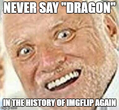 harold save me from this meme hell | NEVER SAY "DRAGON" IN THE HISTORY OF IMGFLIP AGAIN | image tagged in harold save me from this meme hell | made w/ Imgflip meme maker