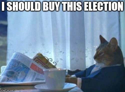 At this point, I'd vote for him | I SHOULD BUY THIS ELECTION | image tagged in memes,i should buy a boat cat,presidential race,president 2016 | made w/ Imgflip meme maker