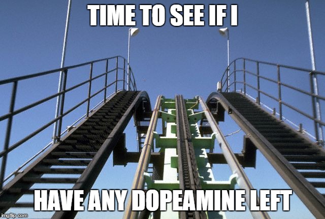 Rollercoaster | TIME TO SEE IF I; HAVE ANY DOPEAMINE LEFT | image tagged in rollercoaster | made w/ Imgflip meme maker