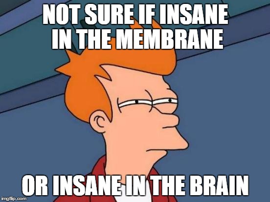 Futurama Fry | NOT SURE IF INSANE IN THE MEMBRANE; OR INSANE IN THE BRAIN | image tagged in memes,futurama fry | made w/ Imgflip meme maker