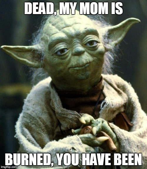 Star Wars Yoda Meme | DEAD, MY MOM IS BURNED, YOU HAVE BEEN | image tagged in memes,star wars yoda | made w/ Imgflip meme maker