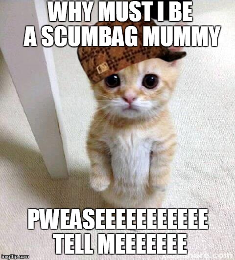 Scumbag Cute Cat | WHY MUST I BE A SCUMBAG MUMMY; PWEASEEEEEEEEEEE TELL MEEEEEEE | image tagged in memes,cute cat,scumbag,funny,lmfao | made w/ Imgflip meme maker