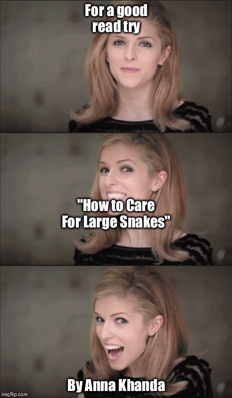 Bad Pun Anna Kendrick | For a good read try; "How to Care For Large Snakes"; By Anna Khanda | image tagged in memes,bad pun anna kendrick | made w/ Imgflip meme maker