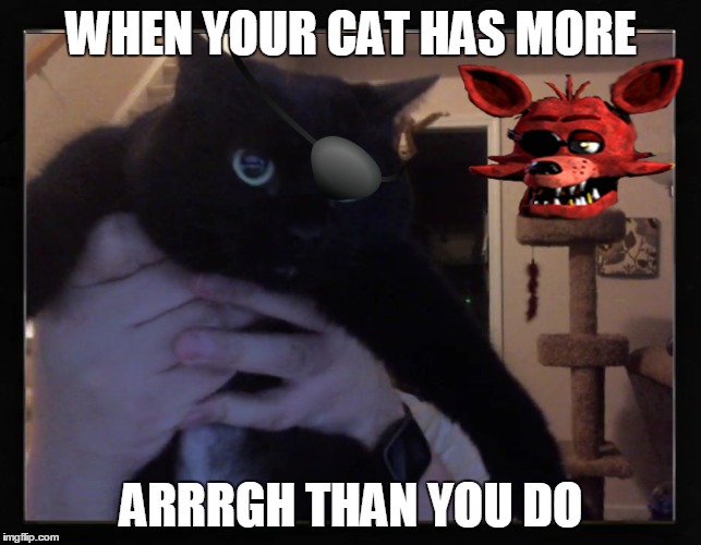 WHEN YOUR CAT HAS MORE; ARRRGH THAN YOU DO | made w/ Imgflip meme maker