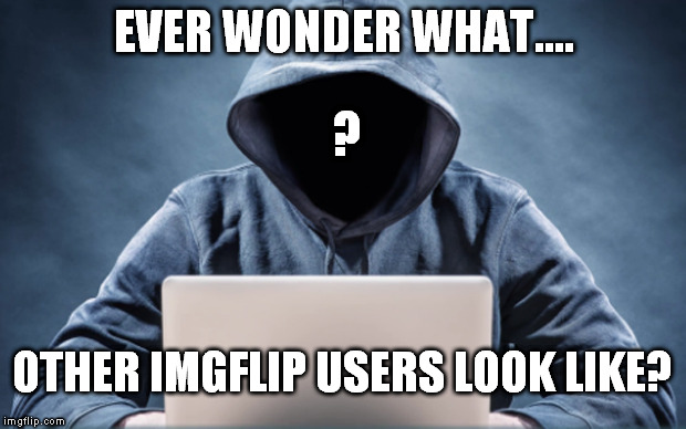 LOL!!! Who looks like what???  | EVER WONDER WHAT.... ? OTHER IMGFLIP USERS LOOK LIKE? | image tagged in imgflip | made w/ Imgflip meme maker