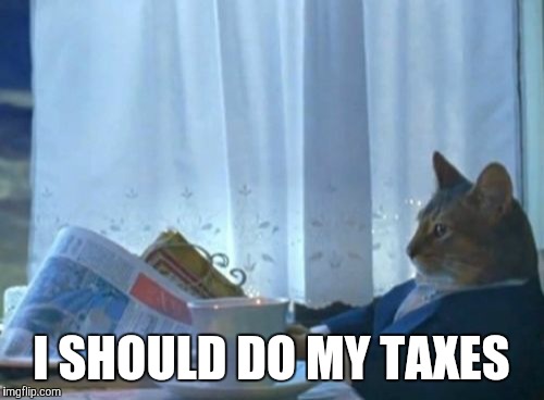 I Should Buy A Boat Cat | I SHOULD DO MY TAXES | image tagged in memes,i should buy a boat cat,funny,true story,taxes,happy birthday | made w/ Imgflip meme maker