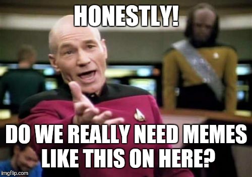 Picard Wtf Meme | HONESTLY! DO WE REALLY NEED MEMES LIKE THIS ON HERE? | image tagged in memes,picard wtf | made w/ Imgflip meme maker