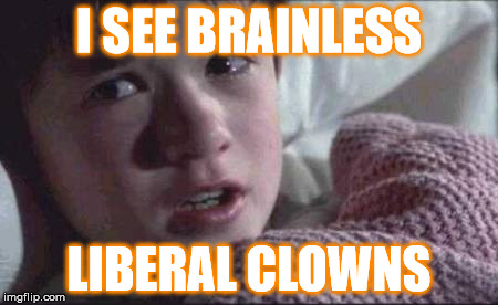 I See Dead People Meme | I SEE BRAINLESS; LIBERAL CLOWNS | image tagged in memes,i see dead people | made w/ Imgflip meme maker