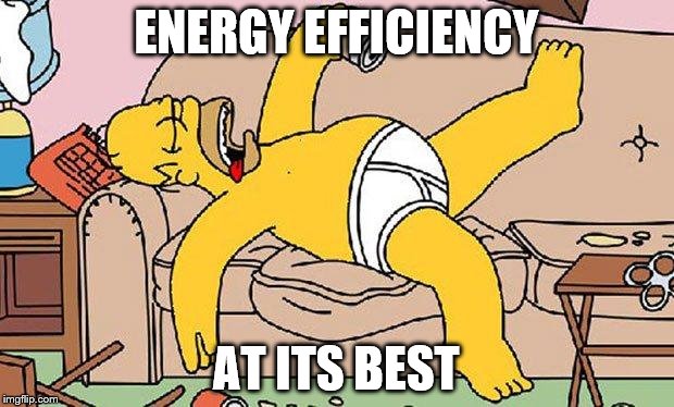 Homer-lazy | ENERGY EFFICIENCY; AT ITS BEST | image tagged in homer-lazy | made w/ Imgflip meme maker