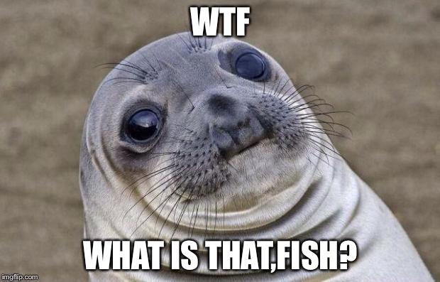 Awkward Moment Sealion | WTF; WHAT IS THAT,FISH? | image tagged in memes,awkward moment sealion | made w/ Imgflip meme maker