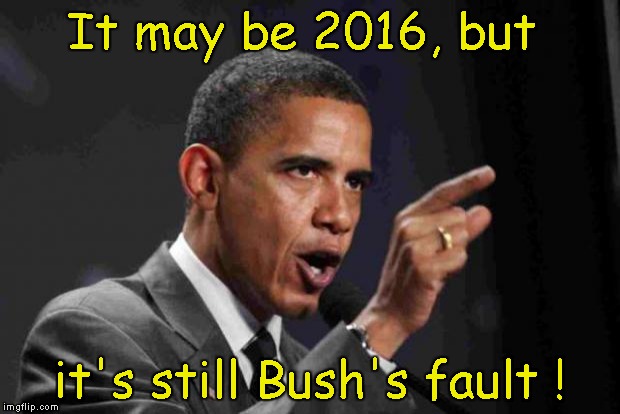 Image result for obama it's bush's fault images