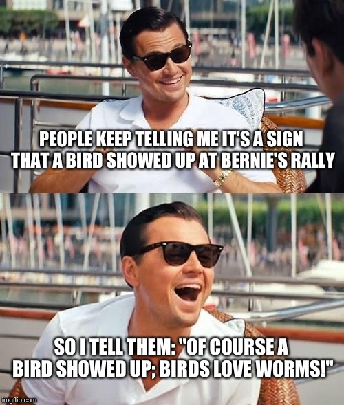 Seriously, it probably thought his dandruff was a swarm of gnats or something people.. | PEOPLE KEEP TELLING ME IT'S A SIGN THAT A BIRD SHOWED UP AT BERNIE'S RALLY; SO I TELL THEM: "OF COURSE A BIRD SHOWED UP; BIRDS LOVE WORMS!" | image tagged in memes,leonardo dicaprio wolf of wall street | made w/ Imgflip meme maker