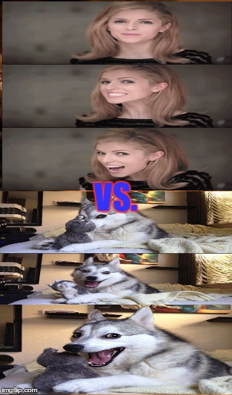 This will make an EGGcellent meme | VS. | image tagged in bad pun dog,bad pun anna kendrick | made w/ Imgflip meme maker