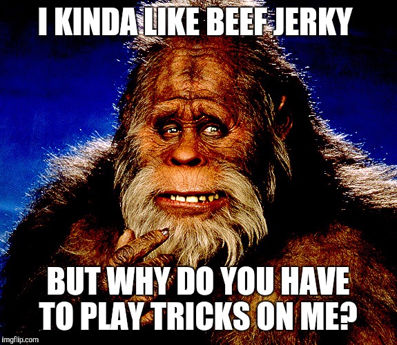 Bigfoot2 | I KINDA LIKE BEEF JERKY; BUT WHY DO YOU HAVE TO PLAY TRICKS ON ME? | image tagged in bigfoot2 | made w/ Imgflip meme maker